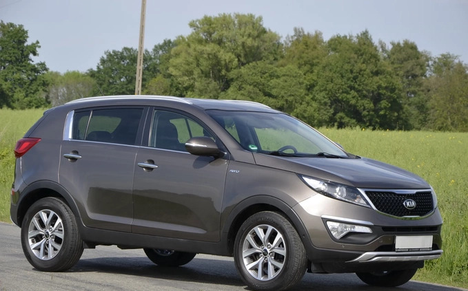 Kia Sportage cena 62500 przebieg: 89801, rok produkcji 2015 z Sompolno małe 781